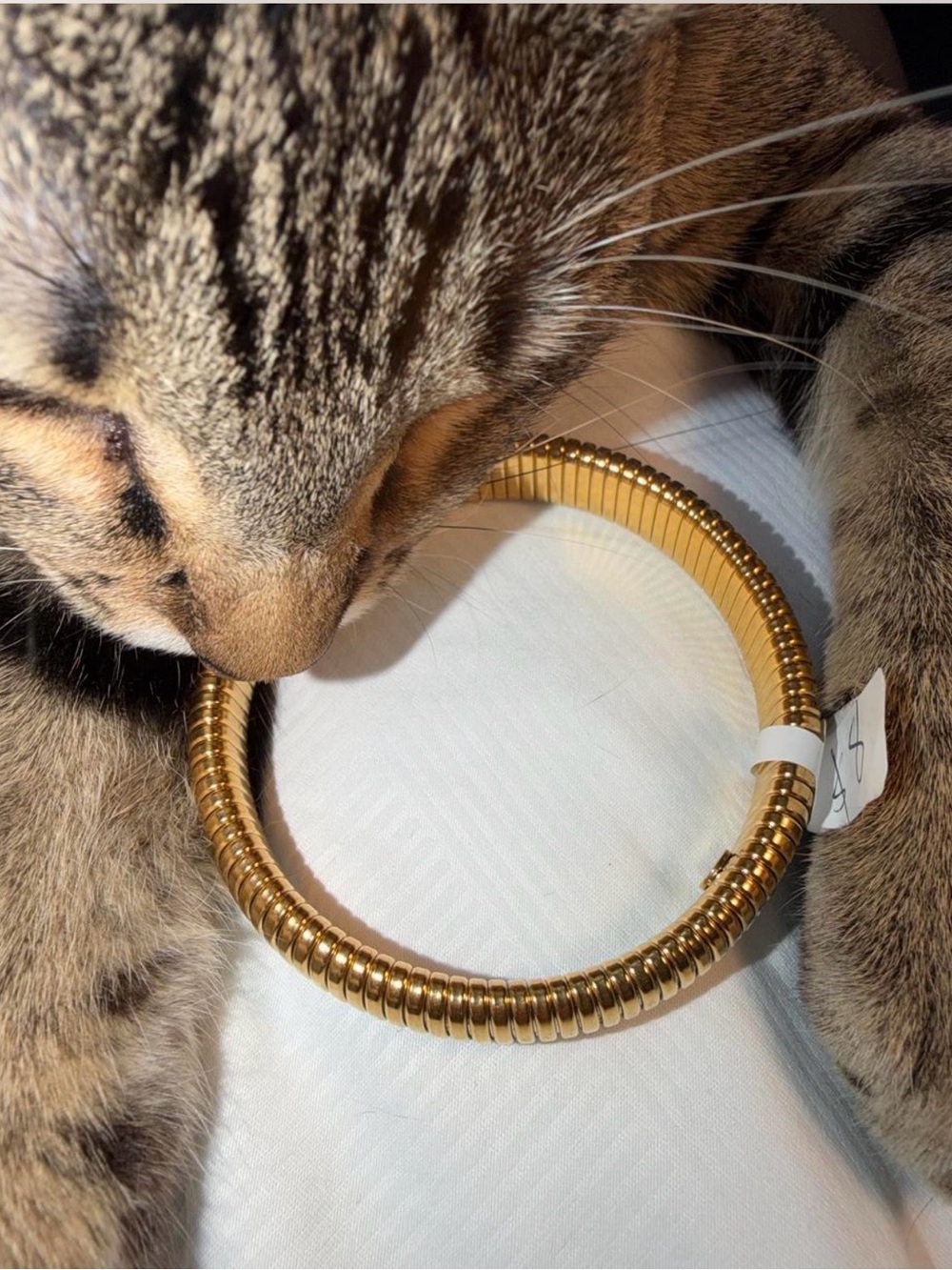 Golden Cat Toy Ring - Gold